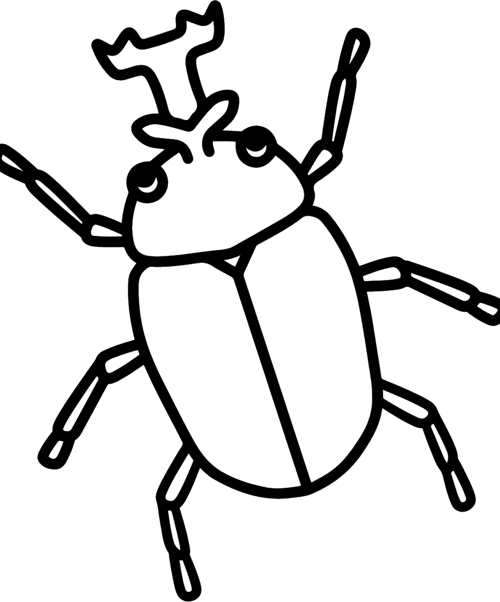 虫