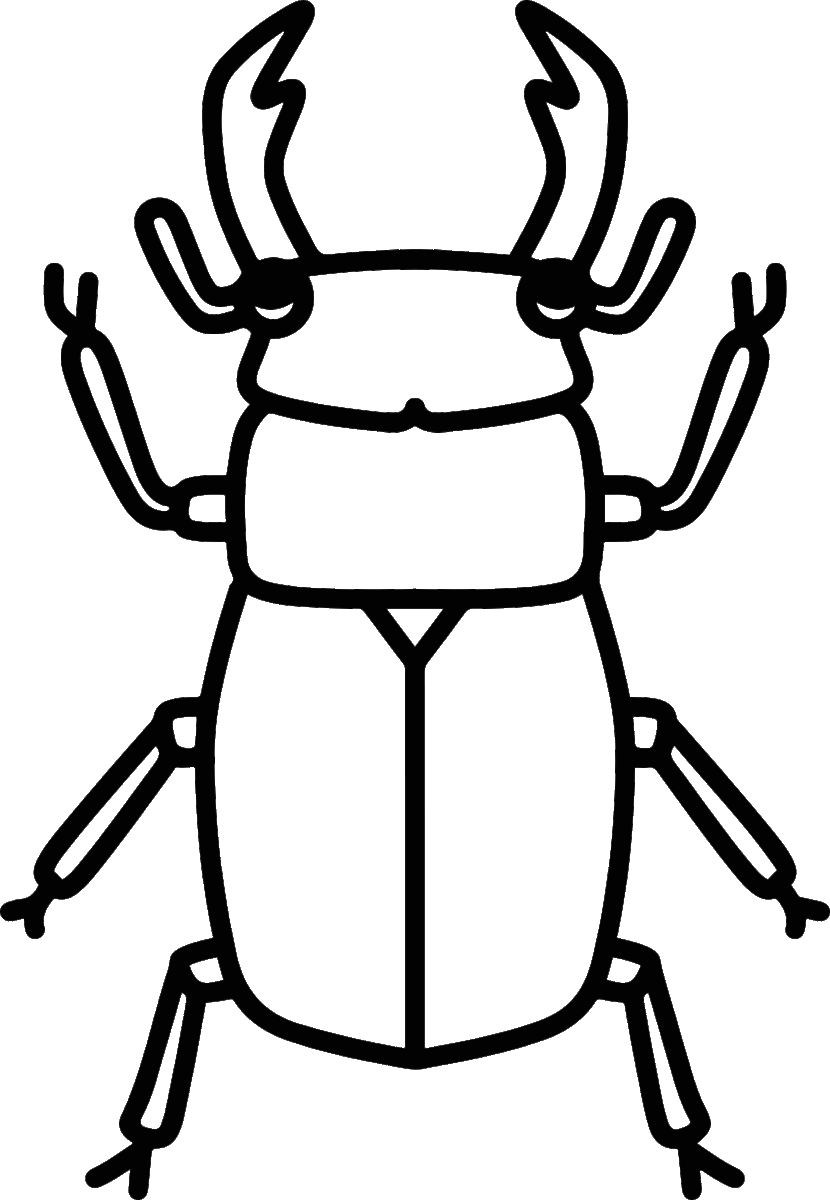 虫